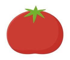 conception de tomate rouge vecteur