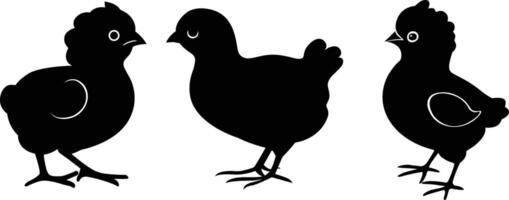 bébé poulet silhouette vecteur
