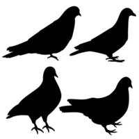 ensemble vecteur Pigeon des oiseaux noir silhouette icône illustration