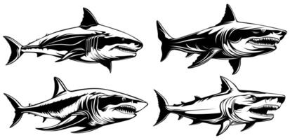 ensemble blanc requin prédateur icône monochrome conception vecteur illustration