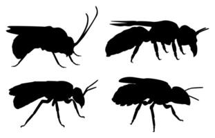 ensemble vecteur guêpe et abeille noir silhouette. piqûres animal icône conception illustration