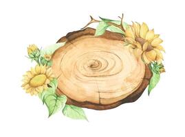 en bois tranche avec floral décoration. aquarelle illustration. vecteur