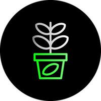 jade plante double pente cercle icône vecteur