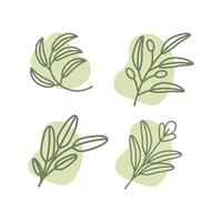 sauge plante feuilles ligne style Facile minimal féminin ensemble collection logo conception vecteur icône illustration