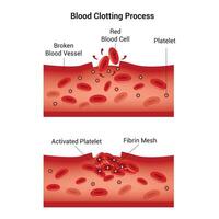 du sang coagulation processus science conception vecteur illustration diagramme