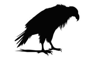 gros griffon vautour silhouette isolé sur une blanc arrière-plan, une en volant griffon vautour le bec noir vecteur