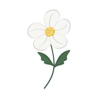fleur blanche à cinq pétales vecteur