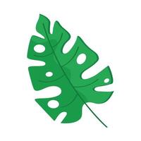 congé de palme d'été vecteur