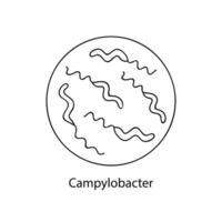 pathogène bactéries. bactérien micro-organisme. microbiologie, infographies. main tiré griffonnage style. vecteur