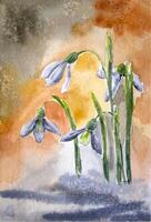 main peint aquarelle perce-neige. perce-neige peinture. aquarelle printemps fleurs. vecteur