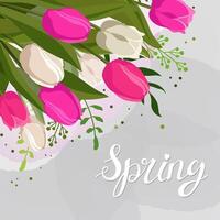 printemps bouquet avec rose et blanc tulipes et herbe avec texte printemps. vecteur gris Contexte modèle avec fleurs pour conception, salutation carte, bannière, conseil, prospectus, vente, affiche