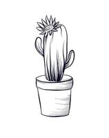 main dessin de une floraison cactus dans une pot vecteur