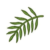 Naturel tropical feuilles vecteur logo modèle illustration eps dix