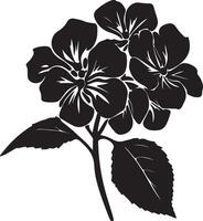 hortensia fleur silhouette vecteur illustration blanc Contexte