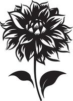 dahlia fleur silhouette vecteur illustration blanc Contexte