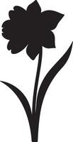 jonquille fleur silhouette vecteur illustration blanc Contexte
