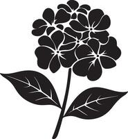 hortensia fleur silhouette vecteur illustration blanc Contexte