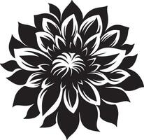 dahlia fleur silhouette vecteur illustration blanc Contexte