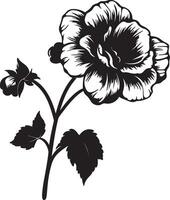 bégonia fleur silhouette vecteur illustration blanc Contexte