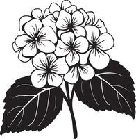 hortensia fleur silhouette vecteur illustration blanc Contexte