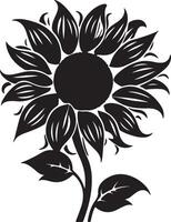 tournesol silhouette vecteur illustration blanc Contexte