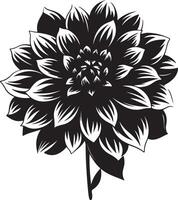 dahlia fleur silhouette vecteur illustration blanc Contexte