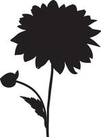 dahlia fleur silhouette vecteur illustration blanc Contexte