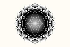 sacré lotus yantra mandala, mystique fleur de vie. sacré géométrie, vecteur logo graphique élément isolé. mystique icône la graine de vie, géométrique dessin signe, ésotérique lotus fleur sur blanc Contexte