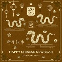 content chinois Nouveau année 2025 zodiaque signe, année de le serpent vecteur