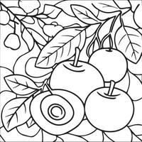 des fruits coloration pages pour coloration livre. des fruits contour vecteur