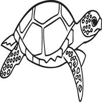 mer tortue coloration pages. mer tortue contour pour coloration livre vecteur