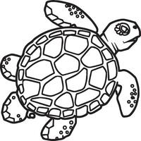 mer tortue coloration pages. mer tortue contour pour coloration livre vecteur