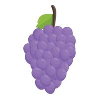 violet les raisins icône dessin animé vecteur. content saint la semaine vecteur