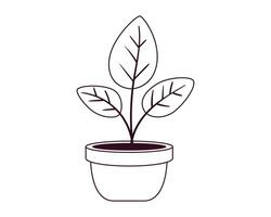 plante dans pot vecteur icône pour Accueil décoration. plante d'appartement noir et blanc ligne illustration.