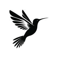 élégant aviaire symbole colibri vecteur icône sur blanc Contexte