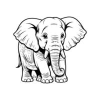 Facile dessin une magnifique l'éléphant vecteur