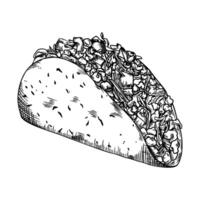 taco main tiré skecth , mexicain nourriture illustration vecteur