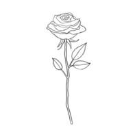 Rose fleur dans griffonnage style vecteur