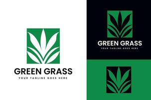 illustration de vert herbe croissance dans carré forme conception avec Contexte vecteur
