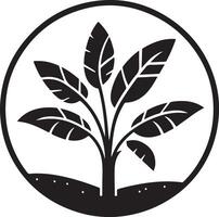maison plante vecteur icône, clipart, symbole, noir Couleur silhouette 21
