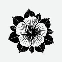 vecteur hibiscus fleur illustration silhouette isolé sur blanc Contexte