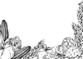 main tiré encre vecteur illustration, cuisine pot céramique légume Ragoût maïs blé quinoa, Sud américain cuisine horizontal Cadre isolé blanc Contexte. conception voyage, vacances, brochure, impression