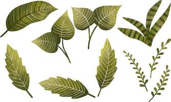 aquarelle verdure feuilles illustration ensemble éléments vecteur