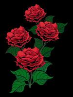 vecteur illustration rouge Rose