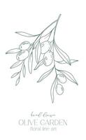 olive branche sur blanc Contexte vecteur illustration. Olives ligne dessin. noir et blanc olive branches. floral ligne art. bien ligne Olives illustration. main tiré olive. mariage invitation verdure