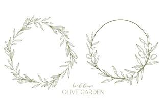 Olives ligne dessin. noir et blanc olive Cadre. olive couronne isolé. floral ligne art. bien ligne olive illustration. noir et blanc olive branches. main tiré olive. mariage invitation verdure vecteur