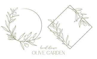 Olives ligne dessin. noir et blanc olive Cadre. olive couronne isolé. floral ligne art. bien ligne olive illustration. noir et blanc olive branches. main tiré olive. mariage invitation verdure vecteur