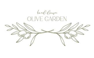 Olives ligne dessin. noir et blanc olive Cadre. olive couronne isolé. floral ligne art. bien ligne olive illustration. noir et blanc olive branches. main tiré olive. mariage invitation verdure vecteur