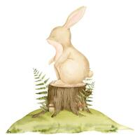 lapin séance sur souche dans une forêt. aquarelle illustration de lapin ou lièvre avec les plantes et fougère pour bébé douche. isolé dessin de des bois mignonne duveteux animal pour puéril salutation cartes vecteur