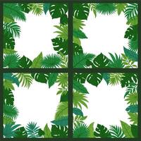 jungle feuilles cadres. dessin animé tropical feuille Contexte avec feuillage éléments. été la nature paume les plantes pour affiche, cartes sur blanc Contexte. vecteur collection